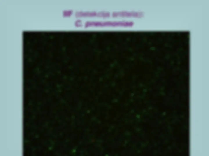 pf26