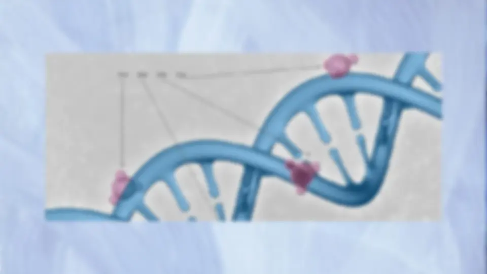 pf3