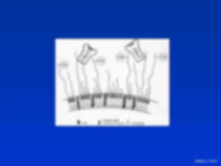pf13