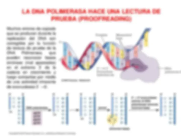 pf1a