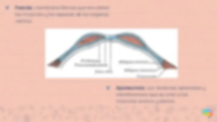 pf16