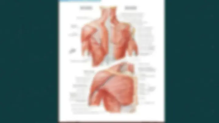pf3
