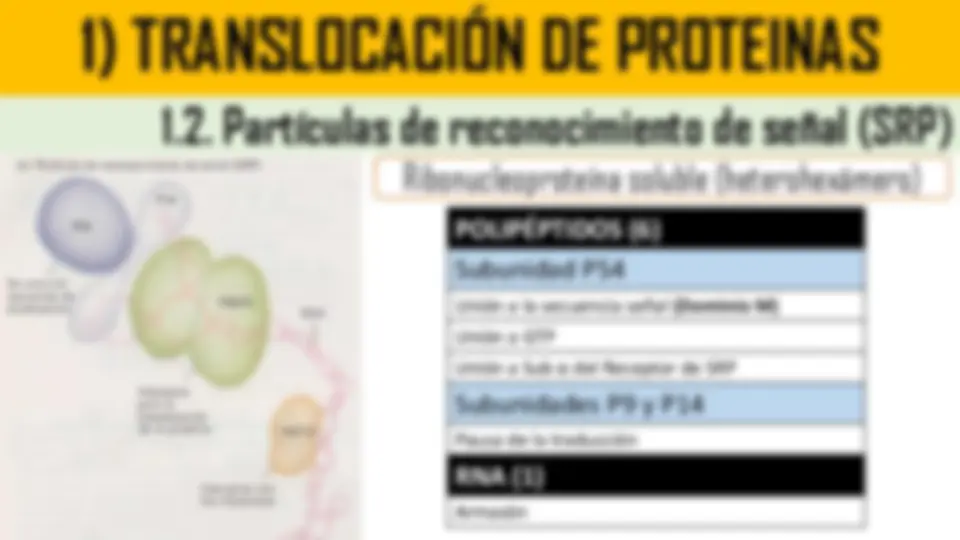 pf23