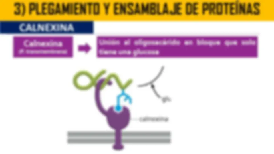 pf4b