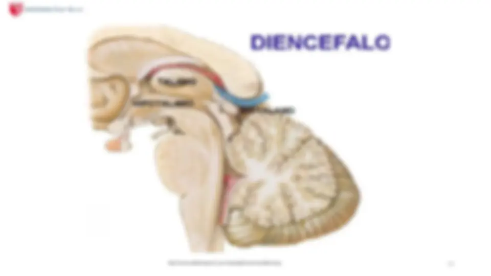 pfa