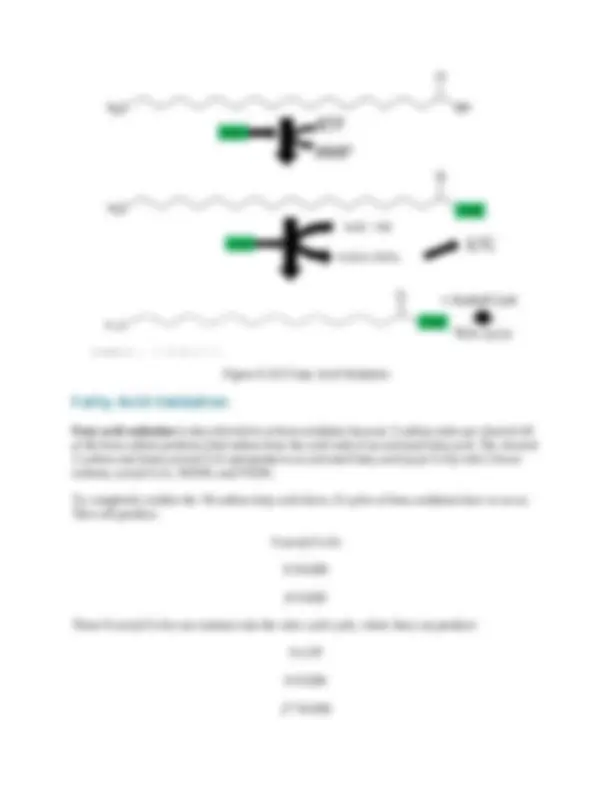 Fatty Acid Oxidation (Beta-oxidation): A Detailed Explanation | Study ...