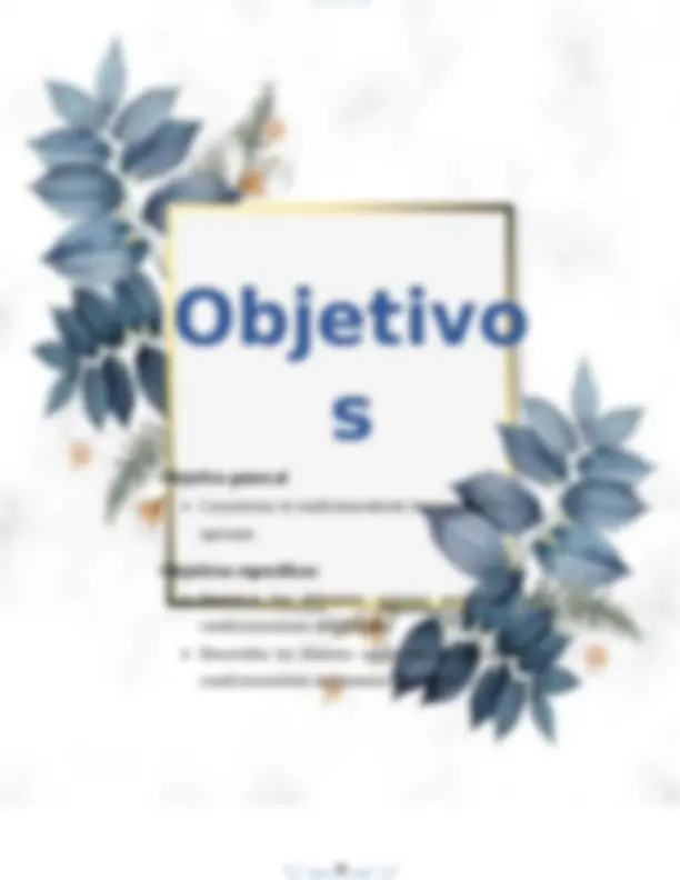 pf13