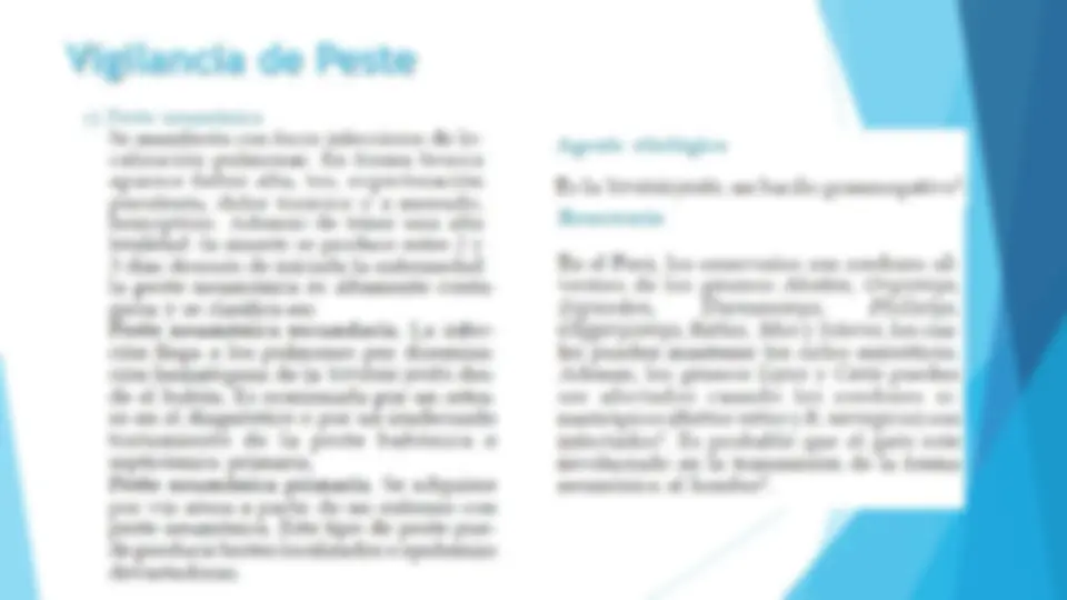 pf33