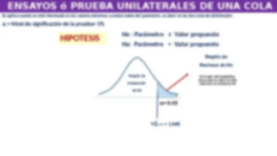 pf19