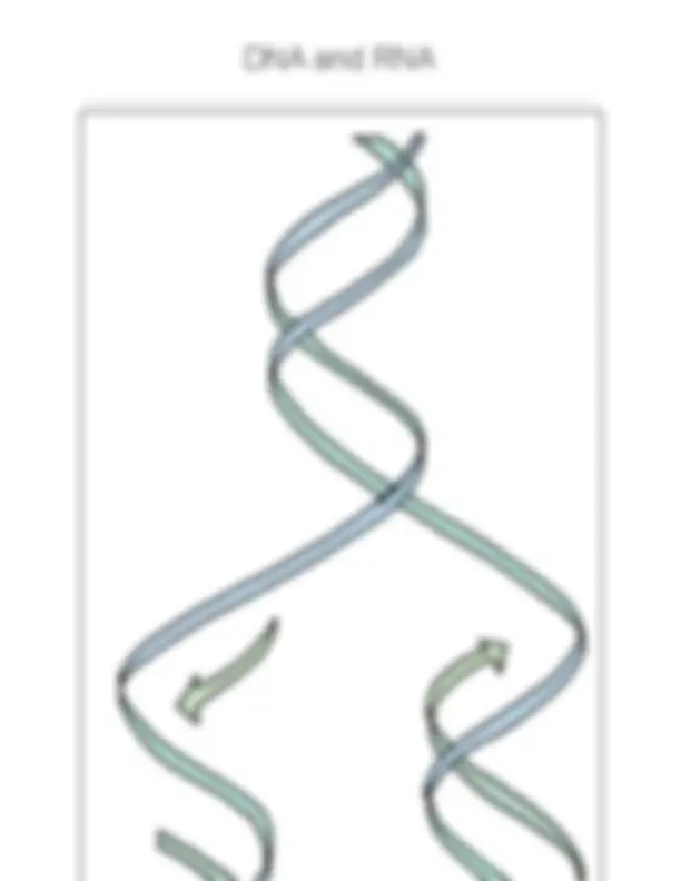 Biology - Cells - DNA and RNA | Cheat Sheet Biology | Docsity