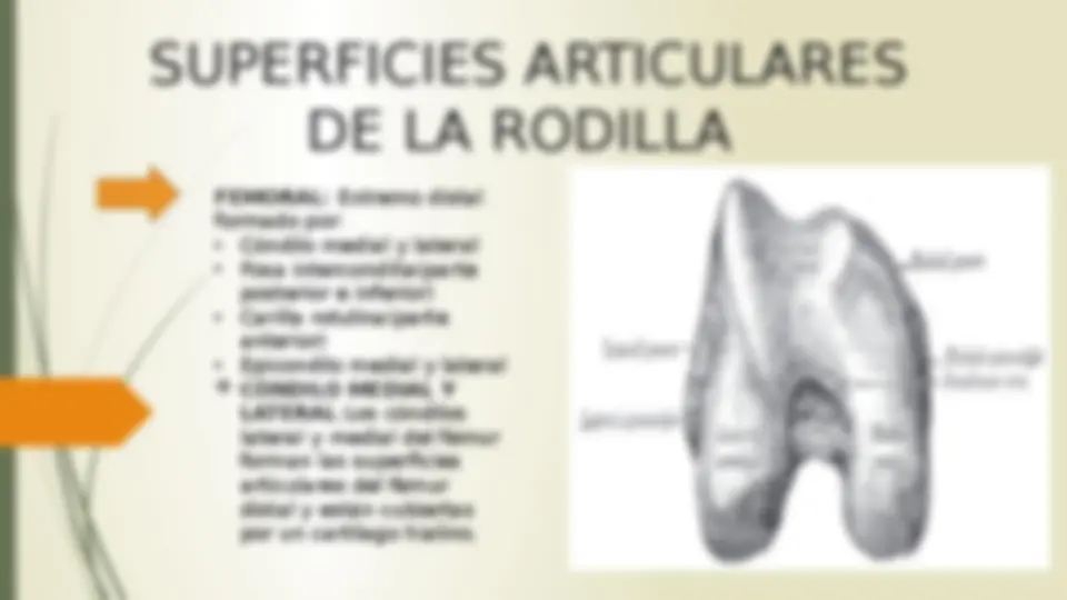 pf4