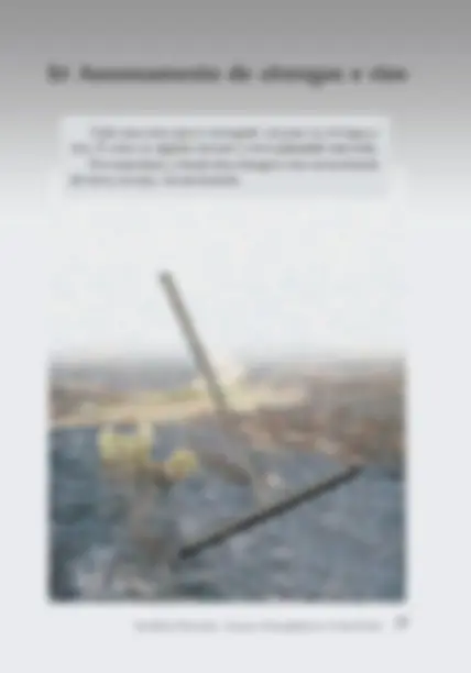 pf19