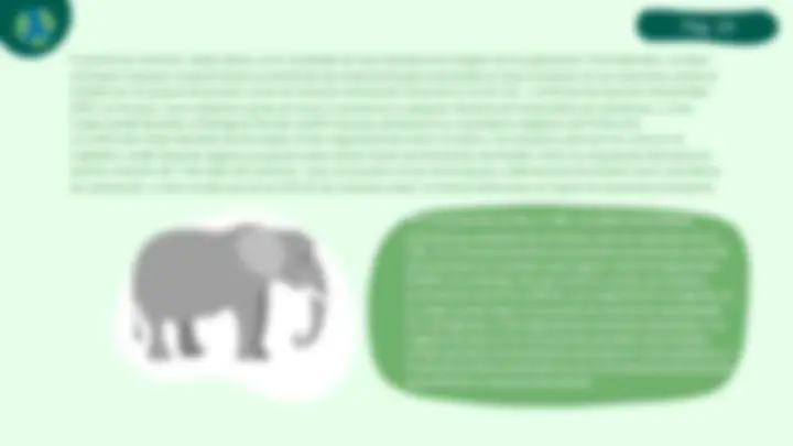 pf13