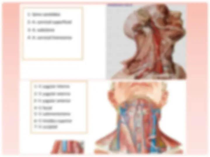 pf4