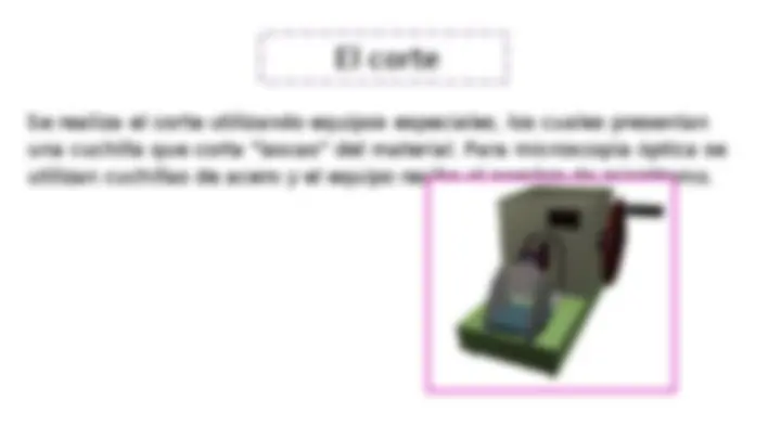 pf14