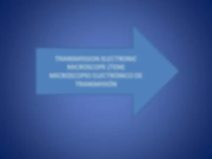 pf17