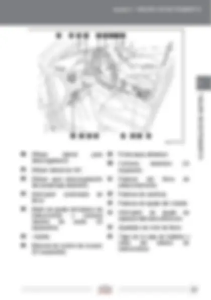 pf29