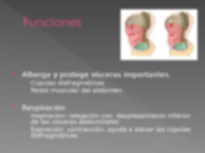 pf4
