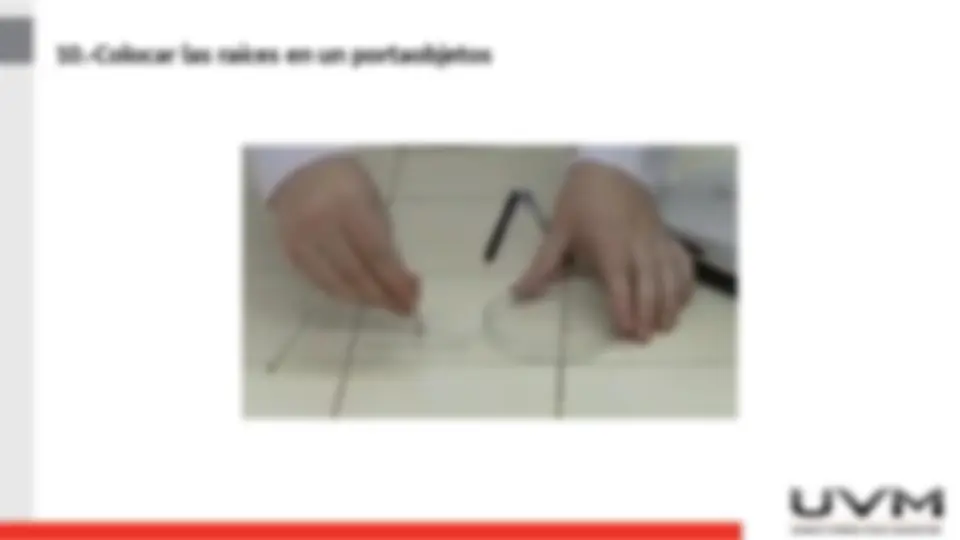 pfd
