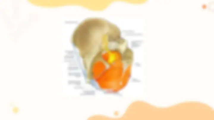 pf15