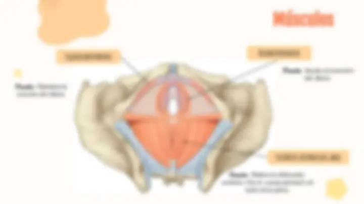 pf4