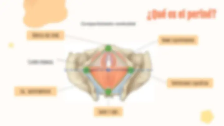 pf3