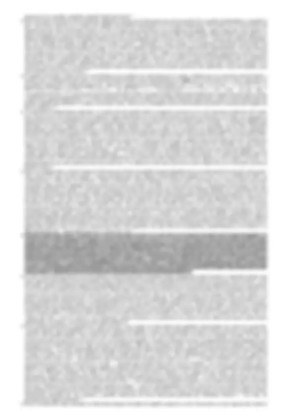 pf29