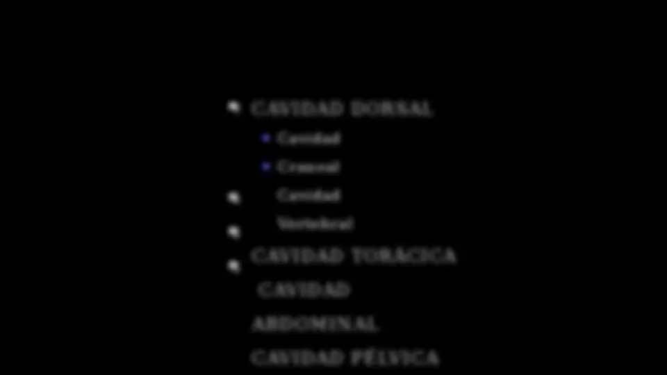 pf28