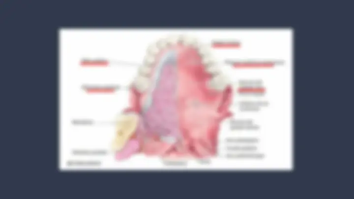 pf5