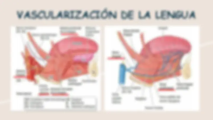 pfa