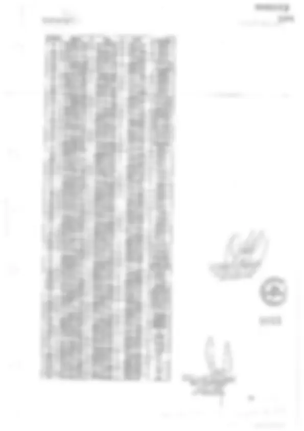 pf19