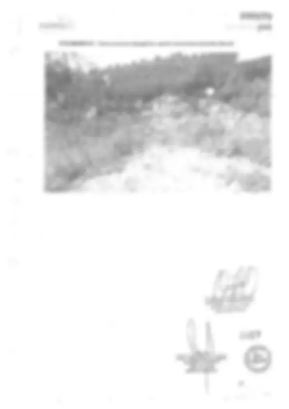 pf13