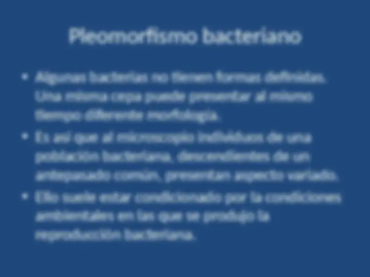pf1d