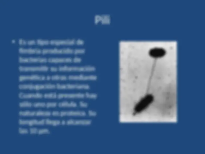 pf15