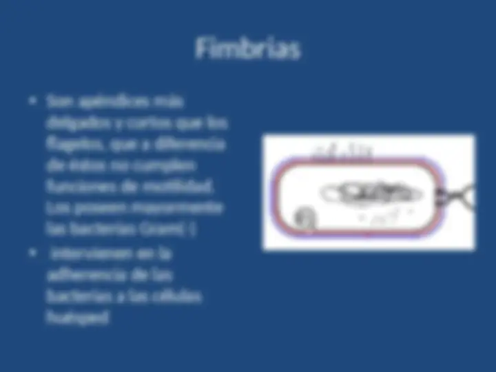 pf14