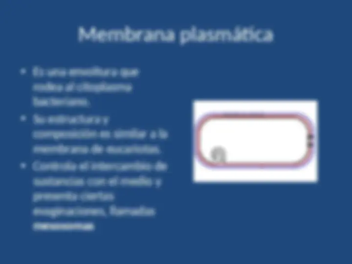 pfe