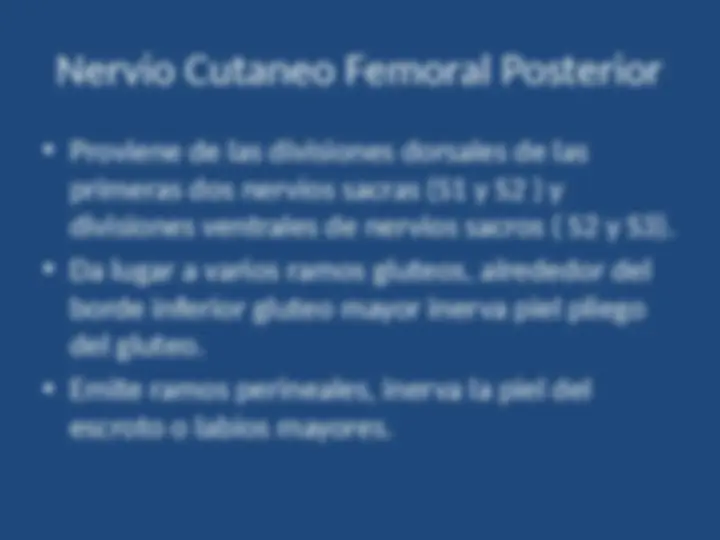 pf17