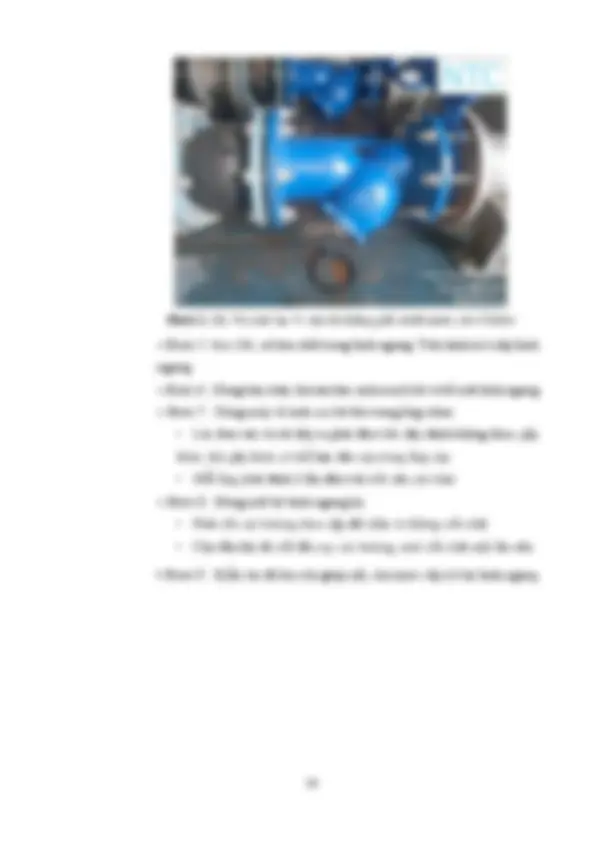 pf25