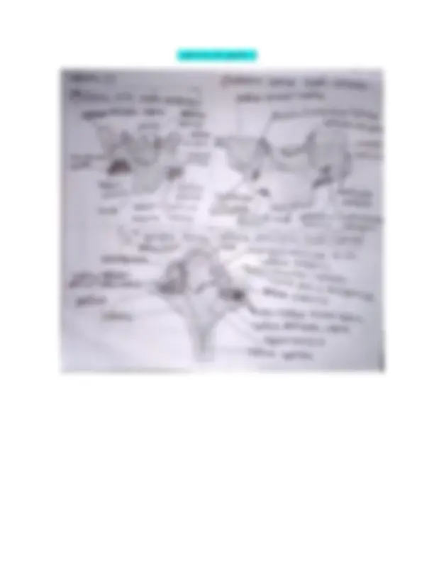 pf3