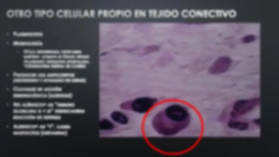 pf1c