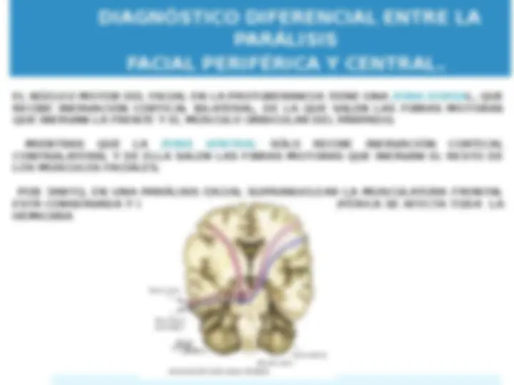 pf28
