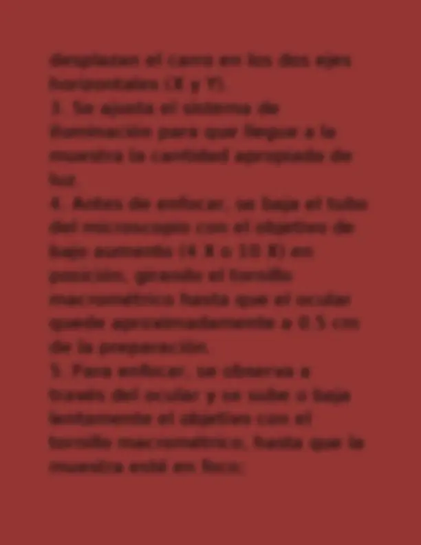 pf19