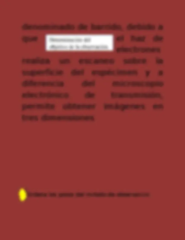 pf13