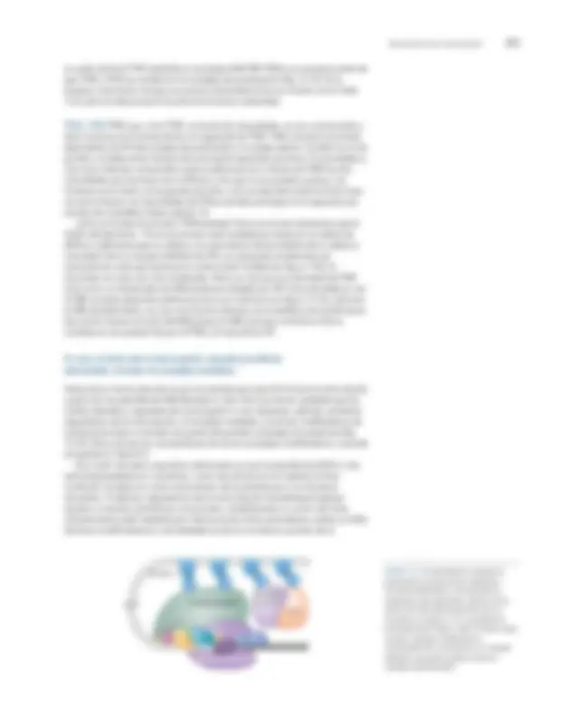 pf19