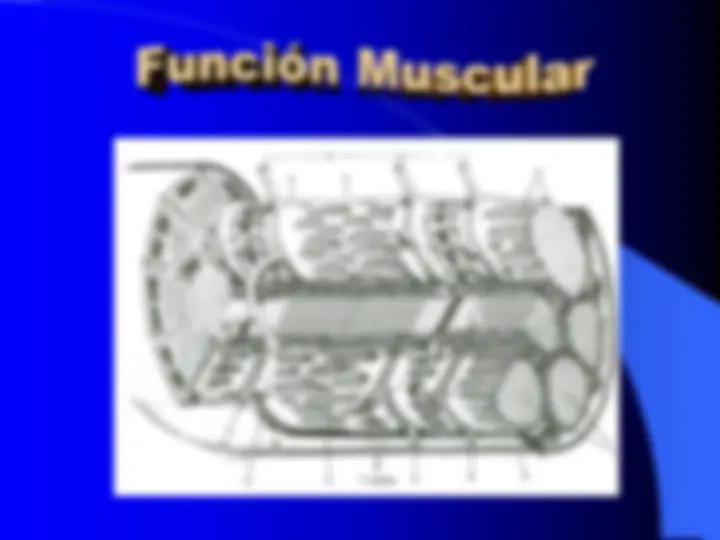 pf1b
