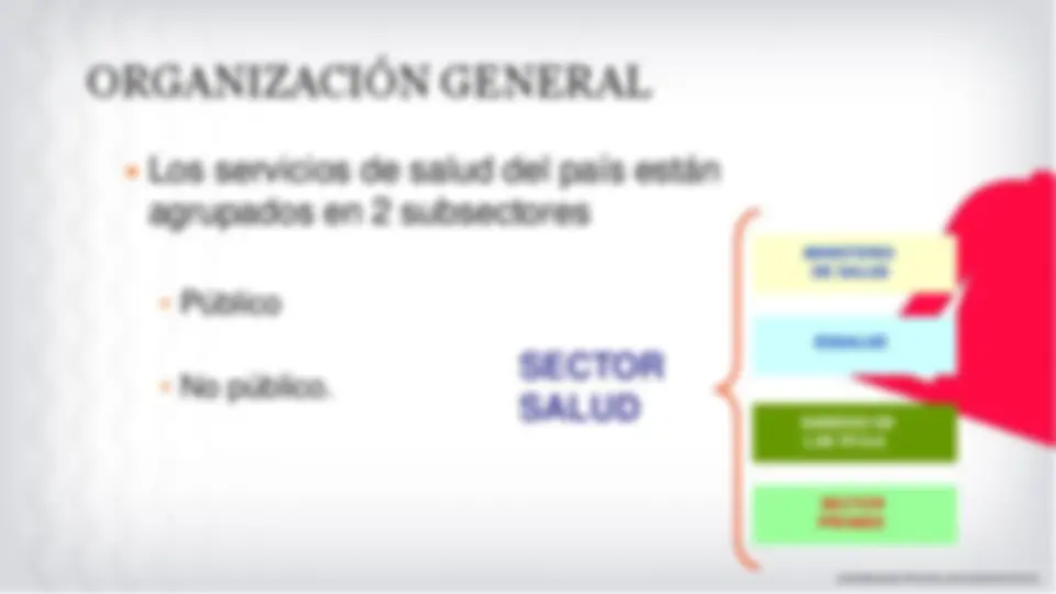 Organizacion del Sistema de Salud en Peru: Estructura, Tipos y Niveles ...