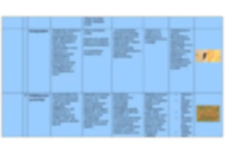 pf5