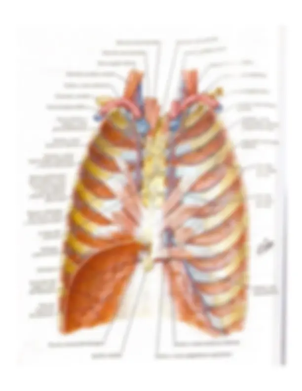 pfa