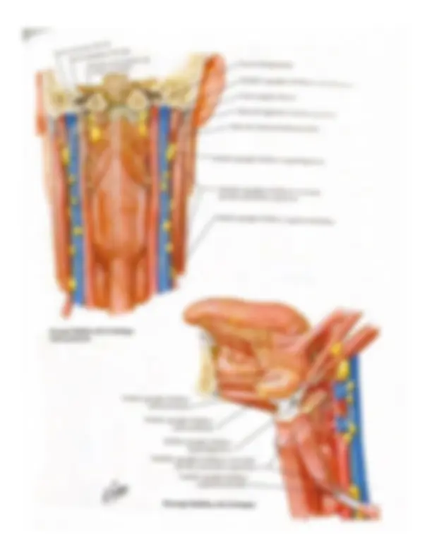pf4