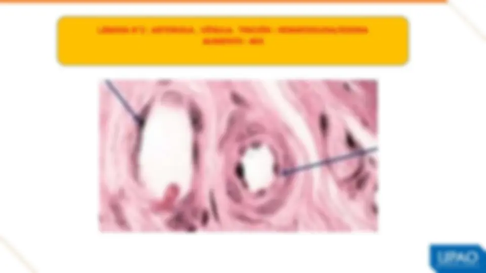 pf3